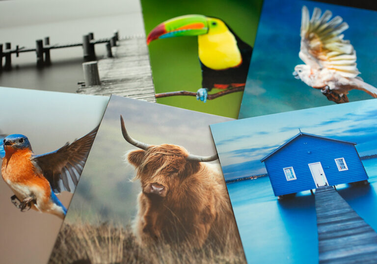 Custom Picture Framing Iconic Printing and Framing